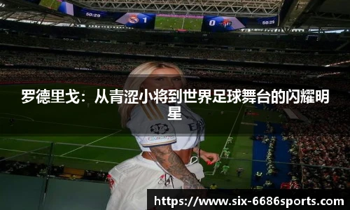6686体育
