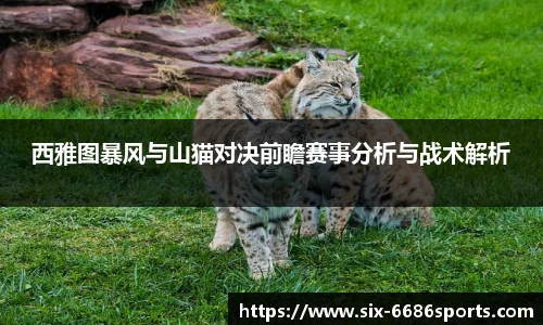 西雅图暴风与山猫对决前瞻赛事分析与战术解析